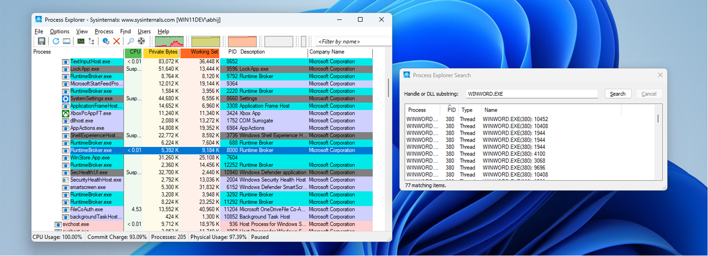 Process Explorer showing Handle